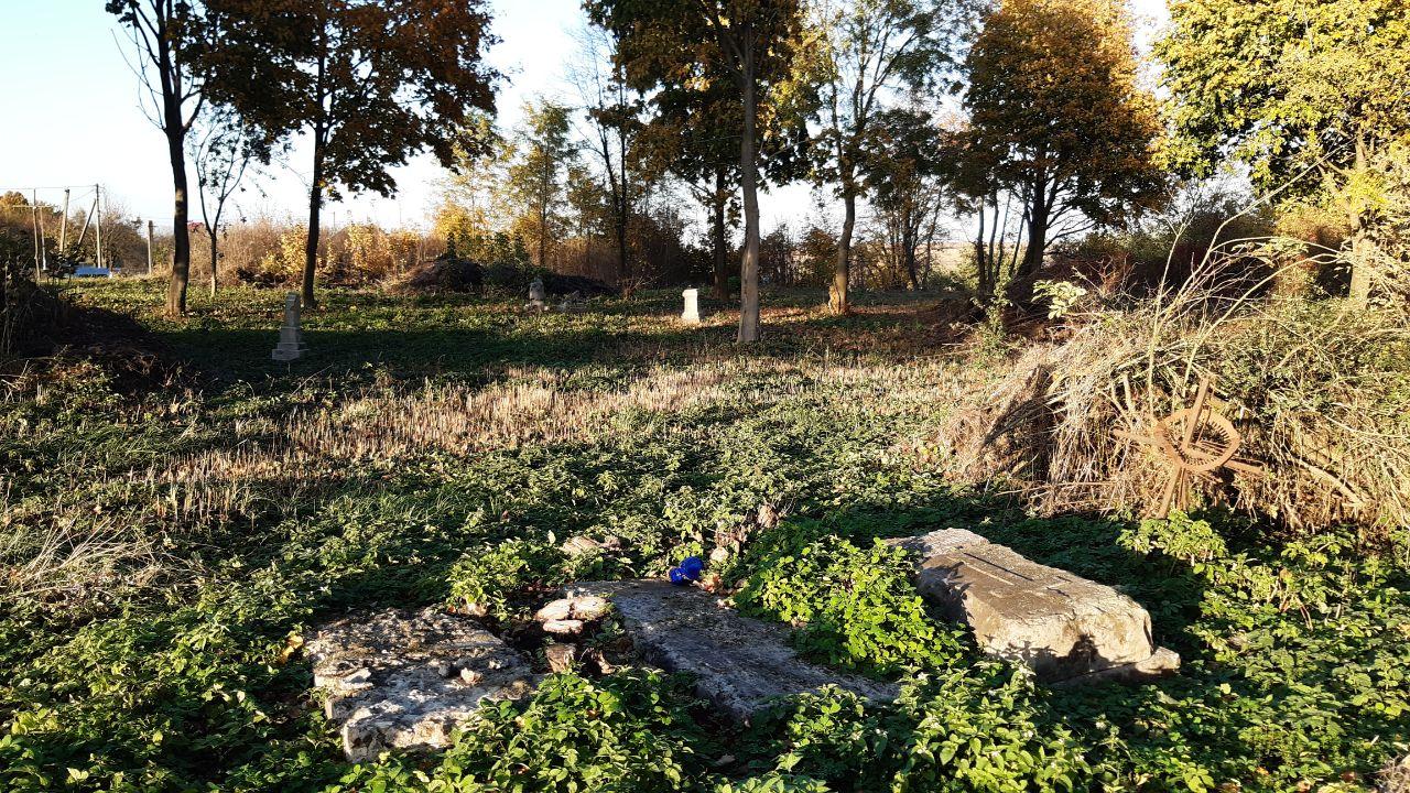 Cementerio polaco antiguo en el pueblo de Nesvich, Volyn